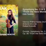 Vienna Philharmonic Orchestra